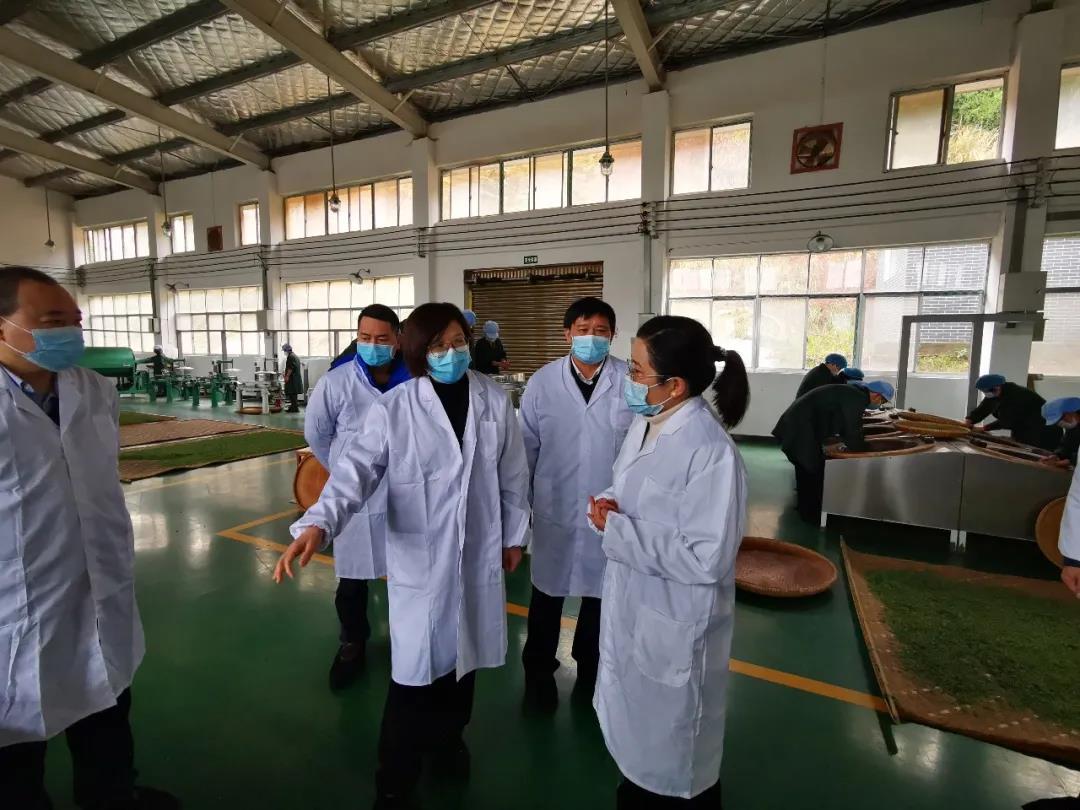 湖南省沅陵碣滩茶业有限公司,沅陵碣滩茶,茶叶加工销售,茶文化传播 湖南省沅陵碣滩茶业有限公司,沅陵碣滩茶,茶叶加工销售,茶文化传播
