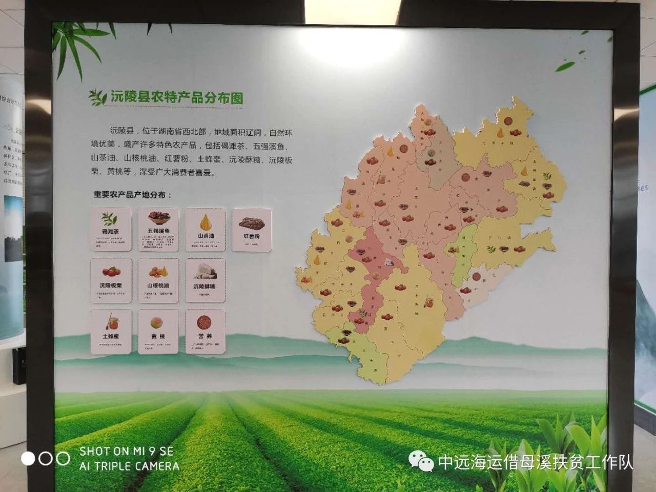 湖南省沅陵碣滩茶业有限公司,沅陵碣滩茶,茶叶加工销售,茶文化传播 湖南省沅陵碣滩茶业有限公司,沅陵碣滩茶,茶叶加工销售,茶文化传播