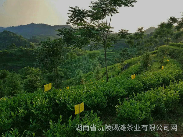 新闻动态 新闻动态