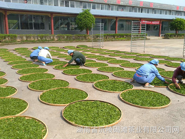 新闻动态 新闻动态