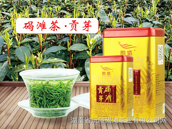 新闻动态 新闻动态