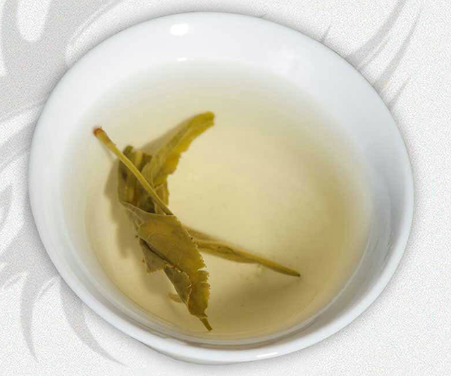 新闻动态 新闻动态