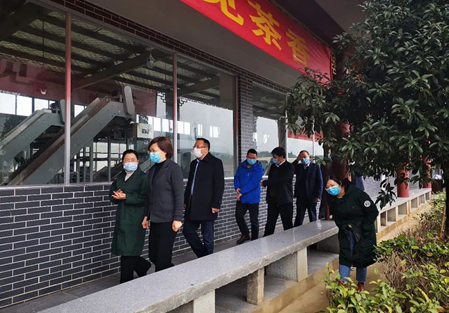 新闻动态 新闻动态