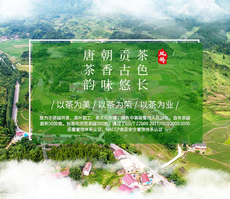 湖南省沅陵碣滩茶业有限公司