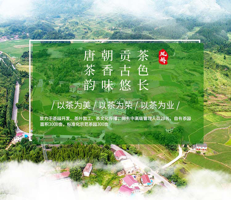 湖南省沅陵碣滩茶业有限公司