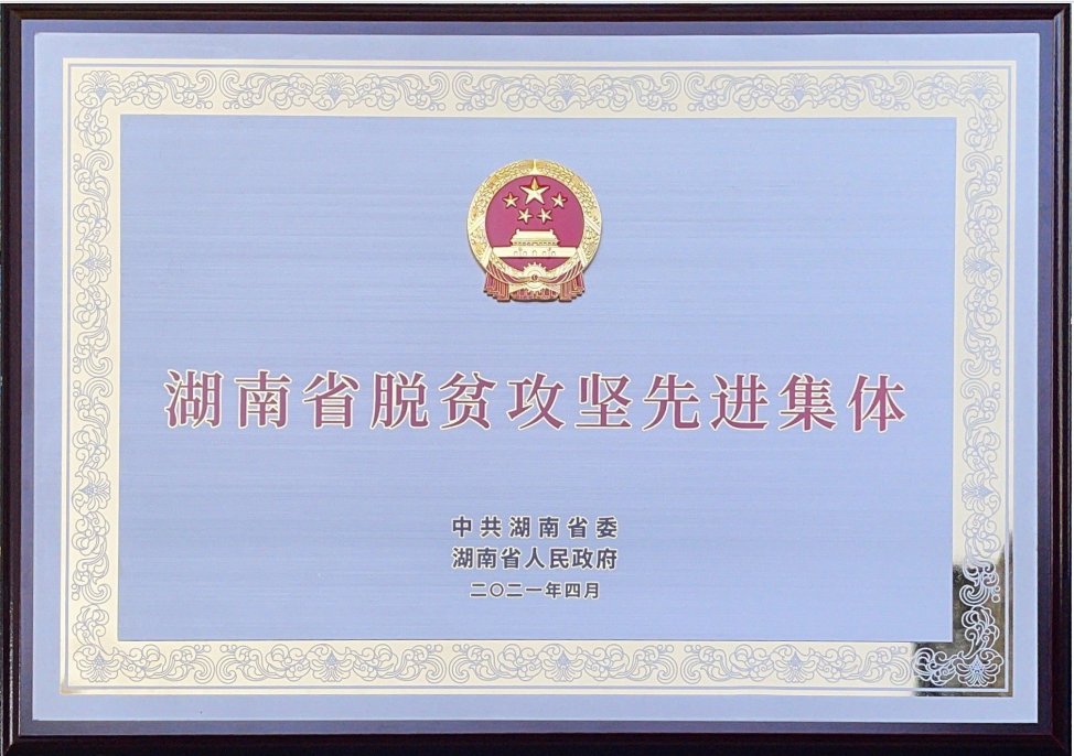 湖南省沅陵碣滩茶业有限公司,怀化茶叶直销厂家,凤娇碣滩茶,沅陵碣滩茶